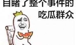 喵星娱乐吃瓜群众,吃瓜群众揭秘娱乐圈幕后真相
