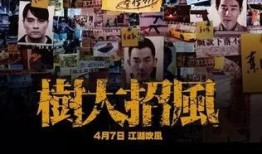 树大招风手机在线观看,揭秘网络风云背后的惊心动魄