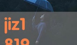 jiz在线观看,揭秘热门剧集背后的精彩故事