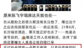 台湾爆料陈飞宇视频播放,揭秘台湾爆料背后的真相