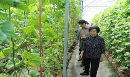 银川网红吃瓜事件是真的吗,真相揭秘还是网络炒作？