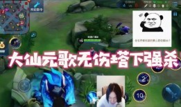 王者荣耀张大仙最新爆料,王者荣耀新版本神秘英雄即将登场！