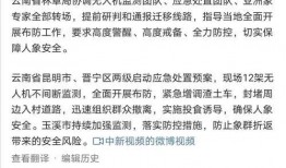 大象新闻爆料情感剧本是真的吗,真相揭秘，是虚构还是真实？