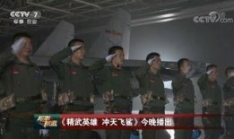 飞行员老婆爆料视频播放,揭秘空中飞行的真实一面