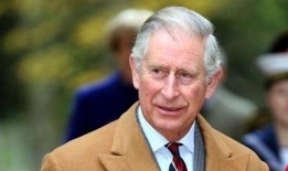 英国查尔斯爆料视频大全,揭秘王室不为人知的秘密