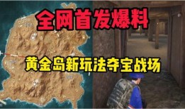 黄金岛爆料视频