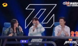 2024娱乐圈爆料,揭秘年度爆笑、泪点、悬疑大事件