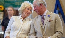 英国查尔斯爆料视频大全,揭秘王室不为人知的秘密